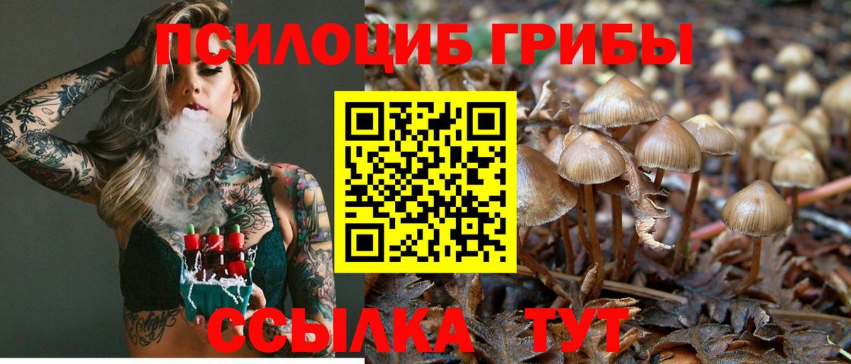 Галлюциногенные грибы Cubensis Славгород