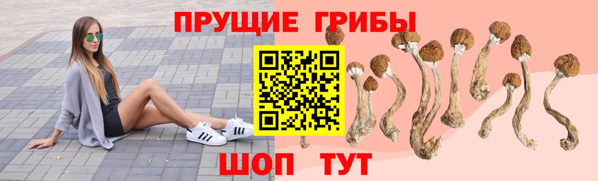цены наркотик  Псилоцибиновые грибы Psilocybine cubensis  Славгород  Вход с VPN  Галлюциногенные грибы Psilocybe 